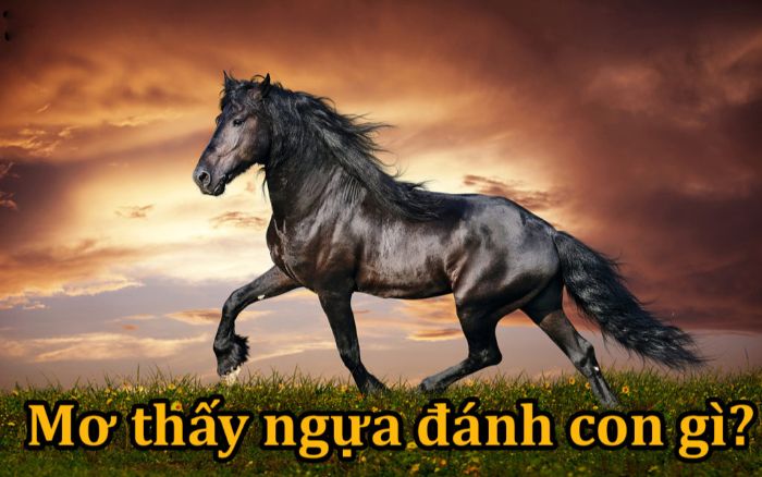 con-ngua-so-may-3 Mơ thấy ngựa đánh con gì?