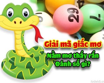 mo thay ran 1