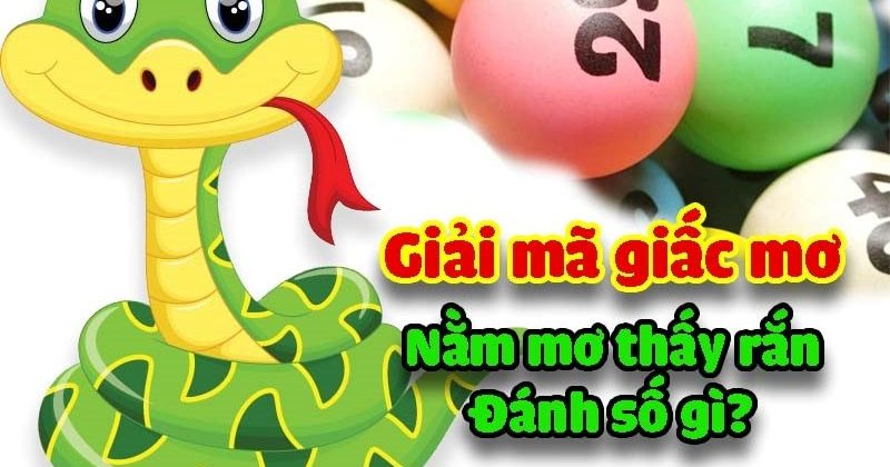 mo thay ran 1